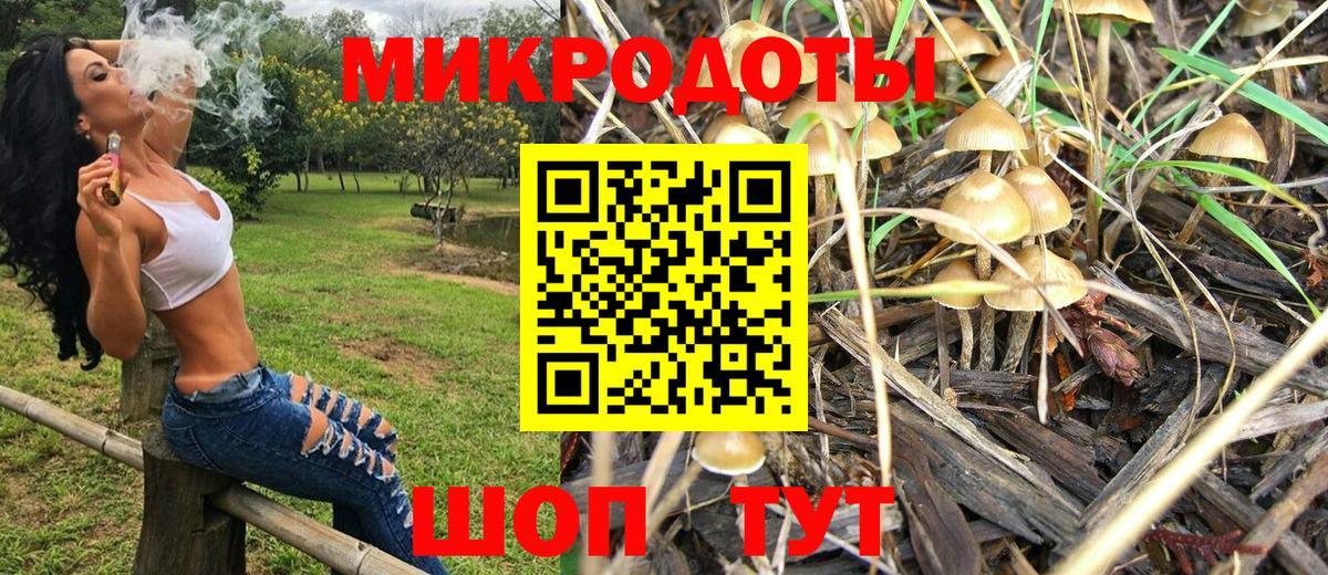 Псилоцибиновые грибы Psilocybine cubensis Югорск